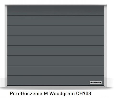 Brama 2500 x 2000 Premium Renomatic Hormann z napędem Segmentowa Różne Kolory