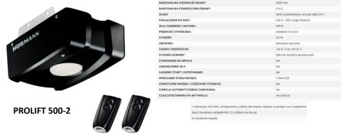 Brama 2500 x 2000 Premium Renomatic Hormann z napędem Segmentowa Różne Kolory