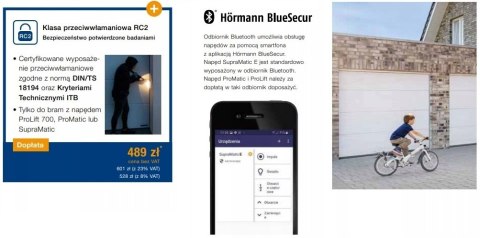 Brama 2500 x 2000 Premium Renomatic Hormann z napędem Segmentowa Różne Kolory