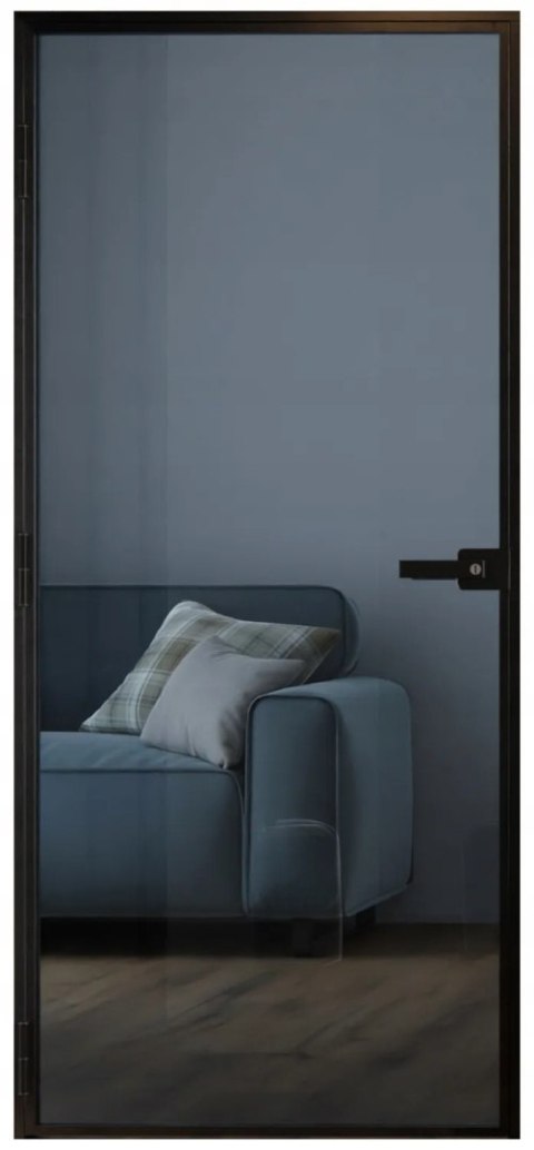 Drzwi Przeciwpożarowe 80cm EI30 Stalowe Hörmann Antracyt RAL7016 800x2000