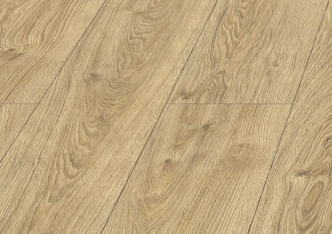 Panele podłogowe Dąb Amelia AC5 10mm D40604 Swiss Krono Bella Platinium