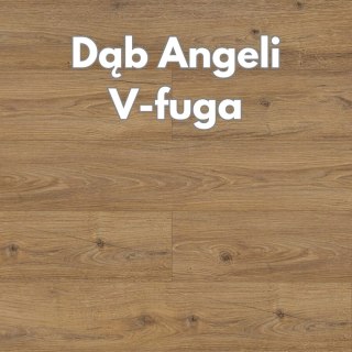 Panele podłogowe Dąb Angelli AC4 8mm Super Style Persecto