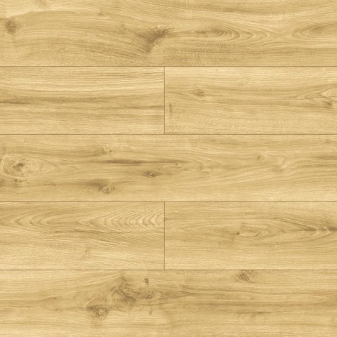 Panele podłogowe Dąb Carissa AC5 10mm D40594 Swiss Krono Bella Platinium