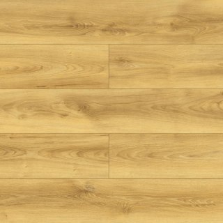 Panele podłogowe Dąb Colletta AC5 10mm D40614 Swiss Krono Bella Platinium