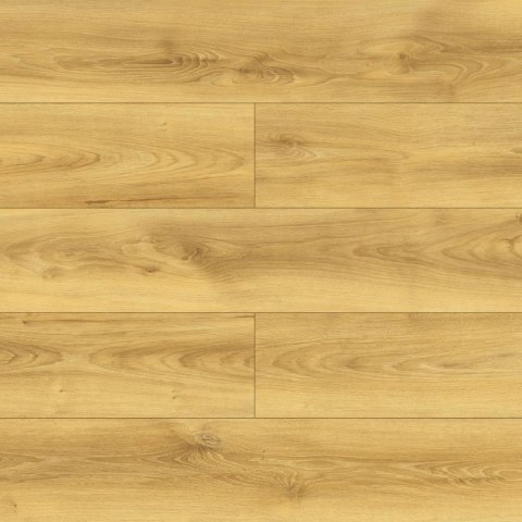 Panele podłogowe Dąb Colletta AC5 10mm D40614 Swiss Krono Bella Platinium