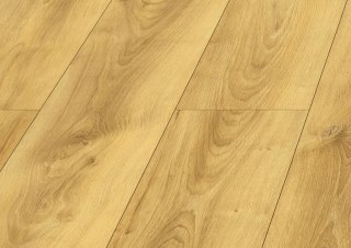 Panele podłogowe Dąb Colletta AC5 10mm D40614 Swiss Krono Bella Platinium