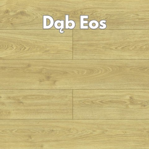 Panele podłogowe Dąb Eos AC4 8mm D40044 Swiss Krono Milo Platinium