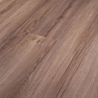 Panele podłogowe Dąb Magurski AC4 8mm Power Plus Persecto