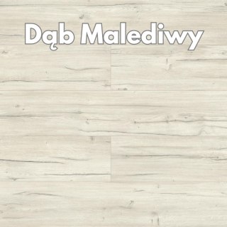 Panele podłogowe Dąb Malediwy AC5 8mm D40214 Swiss Krono Holiday Platinium