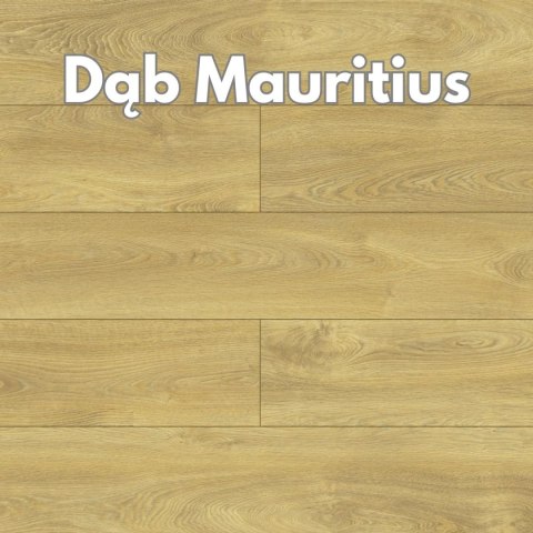 Panele podłogowe Dąb Mauritius AC5 8mm D40124 Swiss Krono Holiday Platinium