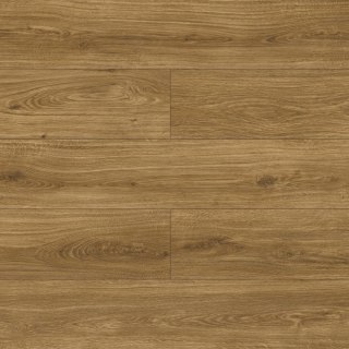 Panele podłogowe Dąb Neapol AC4 8mm D40554 Swiss Krono Milo Platinium