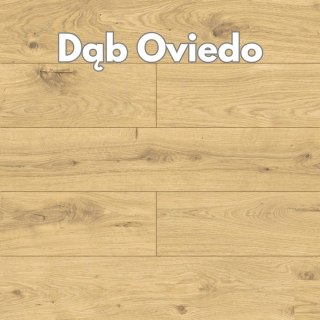 Panele podłogowe Dąb Oviedo AC4 8mm symbol D50524 Swiss Krono Platinium Exclusive