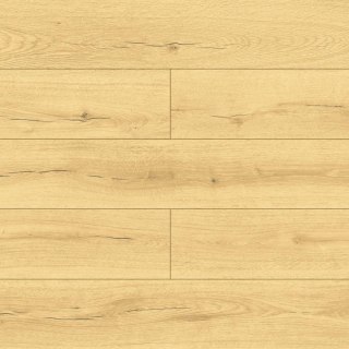 Panele podłogowe Dąb Positano AC5 8mm Swiss Krono Terra Platinium