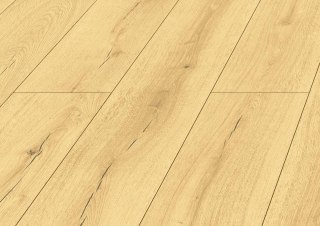Panele podłogowe Dąb Positano AC5 8mm Swiss Krono Terra Platinium