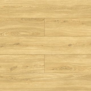 Panele podłogowe Dąb Rita AC5 10mm D40614 Swiss Krono Bella Platinium