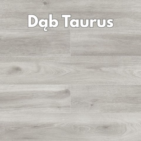Panele podłogowe Dąb Taurus AC5 10mm symbol D4570 Swiss Krono Zodiak Platinium