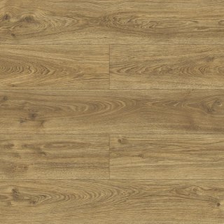 Panele podłogowe Dąb Urania AC5 10mm D40644 Swiss Krono Bella Platinium