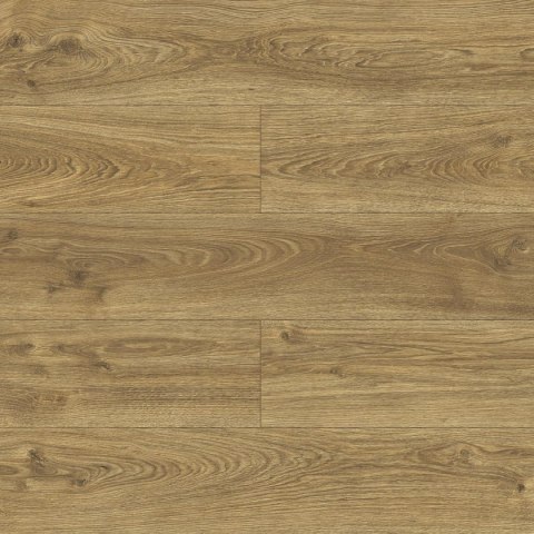 Panele podłogowe Dąb Urania AC5 10mm D40644 Swiss Krono Bella Platinium