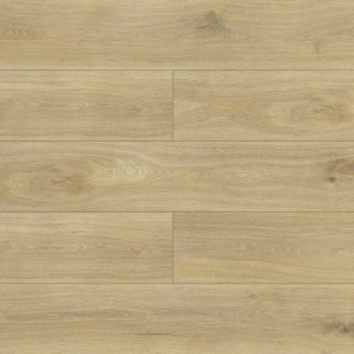 Panele podłogowe Dąb di Trevi AC5 8mm Swiss Krono Terra Platinium