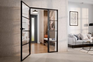 Drzwi Lumin 1180 x 2080 z Naświetlem bocznym w ramie aluminiowej Szklone 4 Pola
