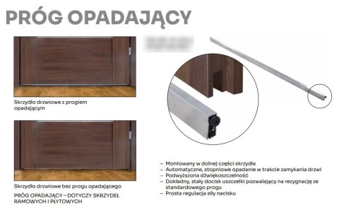 Drzwi Pełne Przylgowe z Ościeżnicą Regulowaną lub Stałą Kolory Voster
