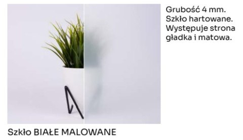 Drzwi Szklane Bezprzylgowe LOFT 60 z Ościeżnicą Regulowaną Szyba Biała