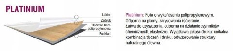 Drzwi Szklane Loftowe ROMA Loft 40