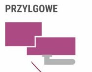 Drzwi Wewnętrzne Evi Voster Czarna Szyba / Mleczna Szyba