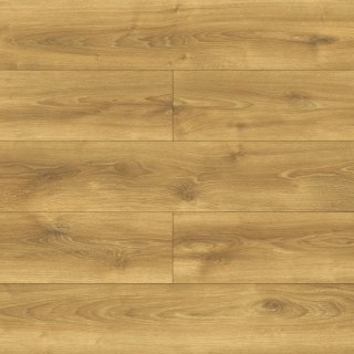 Panele podłogowe Dąb Alodia AC5 10mm D40634 Swiss Krono Bella Platinium