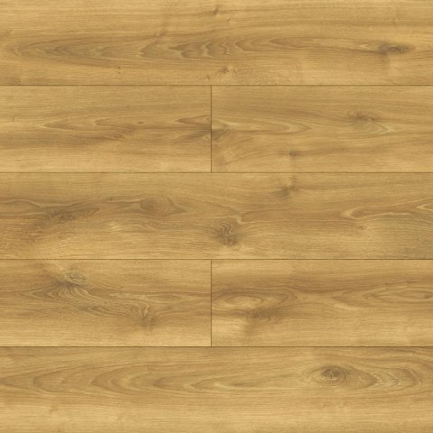 Panele podłogowe Dąb Alodia AC5 10mm D40634 Swiss Krono Bella Platinium