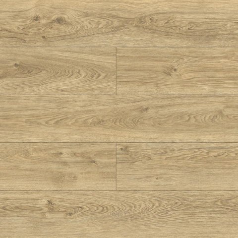 Panele podłogowe Dąb Amelia AC5 10mm D40604 Swiss Krono Bella Platinium